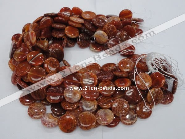 CAG632 15.5 inches 20mm coin natural fire agate beads wholesale