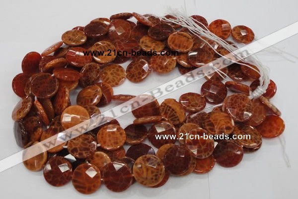 CAG638 15.5 inches 16mm faceted coin natural fire agate beads