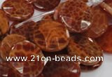 CAG639 15.5 inches 20mm faceted coin natural fire agate beads