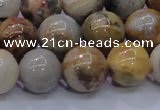 CAG6674 15.5 inches 12mm round natural crazy lace agate beads