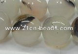 CAG6764 15 inches 14mm round Montana agate beads wholesale