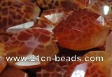 CAG682 15.5 inches 22*30mm faceted freeform natural fire agate beads
