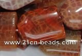 CAG684 15.5 inches 25*30mm freeform natural fire agate beads