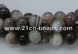 CAG736 15.5 inches 8mm round botswana agate beads wholesale