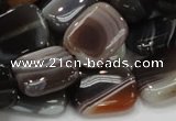 CAG739 15.5 inches 14*18mm rectangle botswana agate beads wholesale