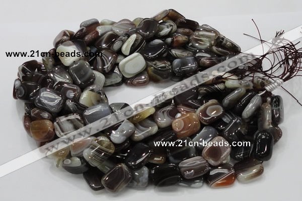 CAG739 15.5 inches 14*18mm rectangle botswana agate beads wholesale