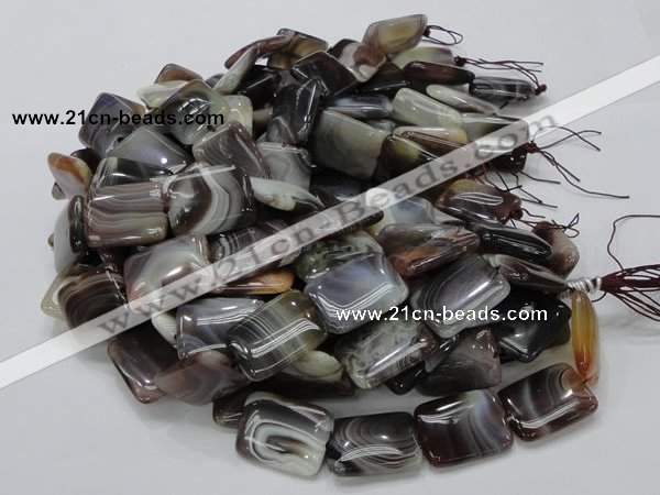 CAG741 15.5 inches 18*24mm rectangle botswana agate beads wholesale