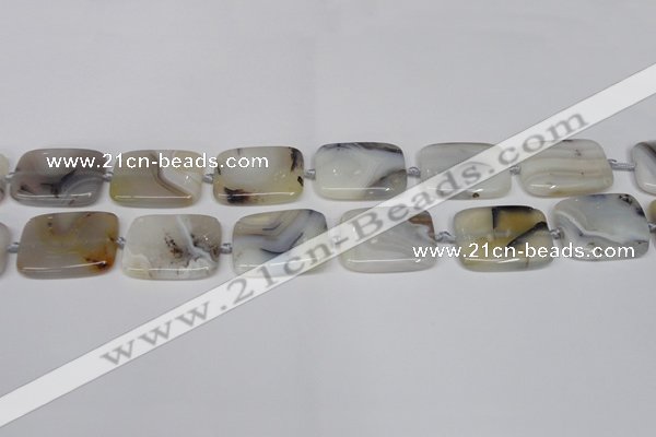 CAG7423 15.5 inches 18*25mm rectangle Montana agate beads