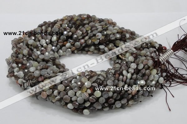 CAG749 15.5 inches 6mm faceted coin botswana agate beads wholesale