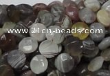 CAG750 15.5 inches 8mm faceted coin botswana agate beads wholesale