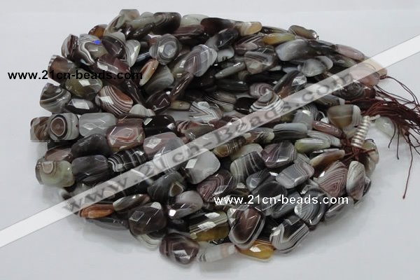 CAG760 15.5 inches 14*18mm faceted rectangle botswana agate beads