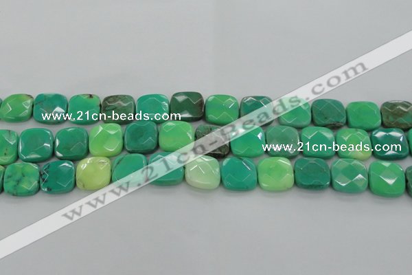 CAG7915 15.5 inches 18*18mm faceted square grass agate beads