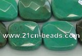 CAG7917 15.5 inches 25*25mm faceted square grass agate beads