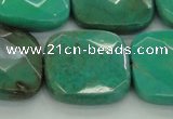 CAG7918 15.5 inches 30*30mm faceted square grass agate beads