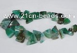 CAG8545 Top drilled 15*20mm - 25*30mm freeform dragon veins agate beads