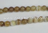 CAG936 16 inches 6mm round madagascar agate gemstone beads