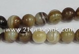 CAG938 16 inches 10mm round madagascar agate gemstone beads