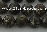 CAG9384 15.5 inches 12mm round matte turritella agate beads