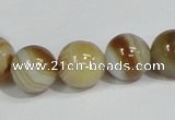 CAG940 16 inches 14mm round madagascar agate gemstone beads