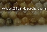 CAG9401 15.5 inches 6mm round ocean fossil agate beads wholesale