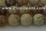 CAG9403 15.5 inches 10mm round ocean fossil agate beads wholesale