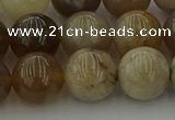 CAG9404 15.5 inches 12mm round ocean fossil agate beads wholesale