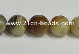 CAG948 16 inches 14mm faceted round madagascar agate gemstone beads