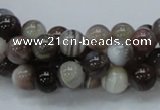 CAG980 15.5 inches 10mm round botswana agate beads wholesale