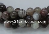 CAG981 15.5 inches 12mm round botswana agate beads wholesale