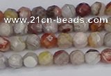 CAG9860 15.5 inches 4mm faceted round Mexican crazy lace agate beads