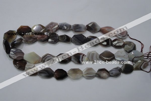 CAG990 15.5 inches 15*20mm faceted freeform botswana agate beads