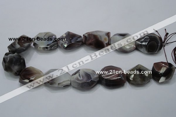 CAG991 15.5 inches 25*30mm faceted freeform botswana agate beads