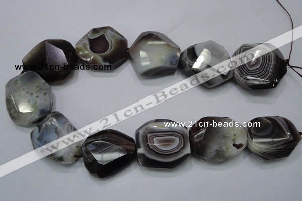 CAG992 15.5 inches 30*40mm faceted freeform botswana agate beads