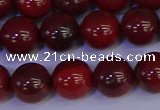 CAJ753 15.5 inches 10mm round apple jasper beads wholesale