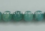 CAM137 15.5 inches 12mm round amazonite gemstone beads wholesale