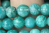 CAM1701 15.5 inches 5.5mm round Russian amazonite beads