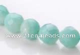 CAM28 10mm natural amazonite faceted round stone beads Wholesale