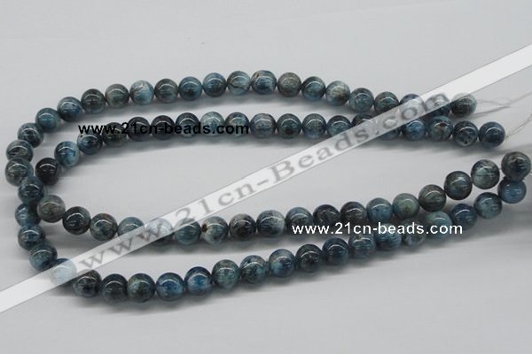 CAP06 15.5 inches 10mm round apatite gemstone beads wholesale