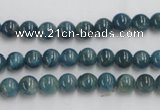 CAP202 15.5 inches 6mm round natural apatite gemstone beads