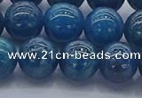 CAP363 15.5 inches 10mm round apatite gemstone beads wholesale