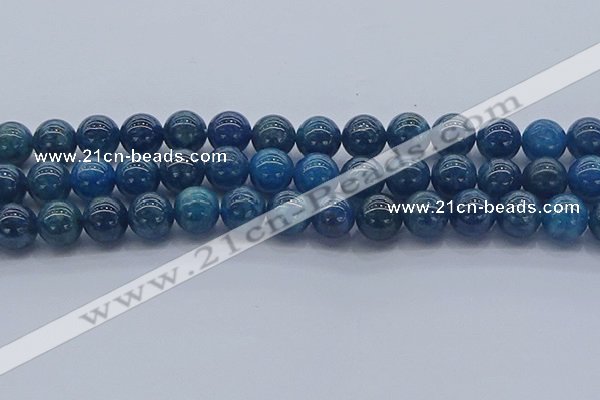 CAP363 15.5 inches 10mm round apatite gemstone beads wholesale