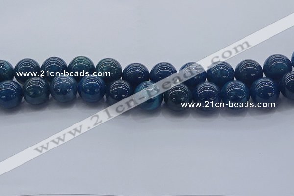 CAP366 15.5 inches 16mm round apatite gemstone beads wholesale