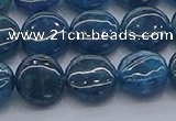 CAP381 15.5 inches 10mm flat round apatite gemstone beads