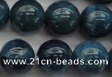 CAP403 15.5 inches 10mm round A grade natural apatite beads