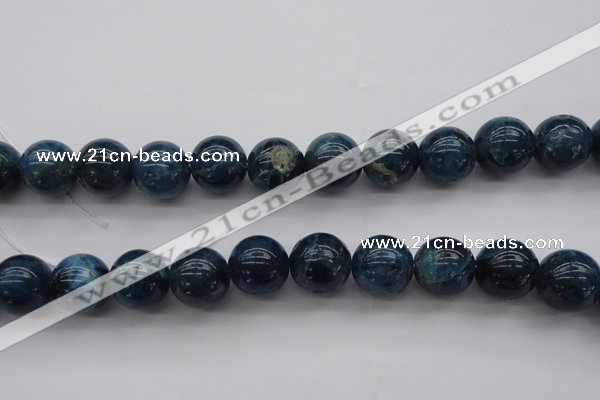 CAP404 15.5 inches 12mm round A grade natural apatite beads