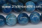 CAP414 15.5 inches 12mm round apatite gemstone beads wholesale