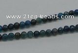 CAP51 15.5 inches 4mm round dyed apatite gemstone beads wholesale