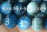 CAP579 15.5 inches 10mm round apatite beads wholesale