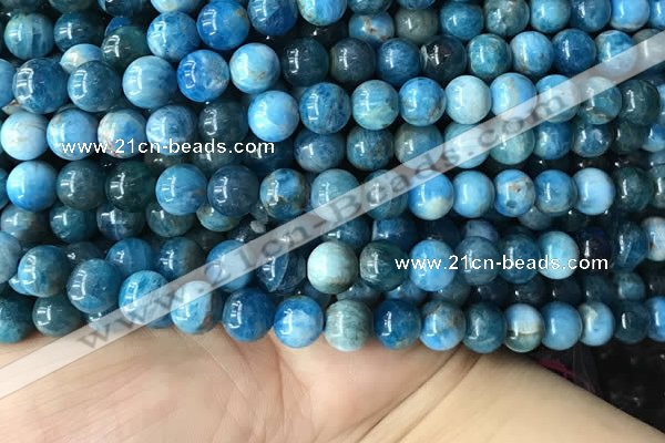 CAP579 15.5 inches 10mm round apatite beads wholesale