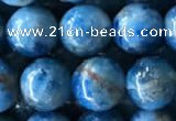 CAP585 15.5 inches 10mm round apatite beads wholesale